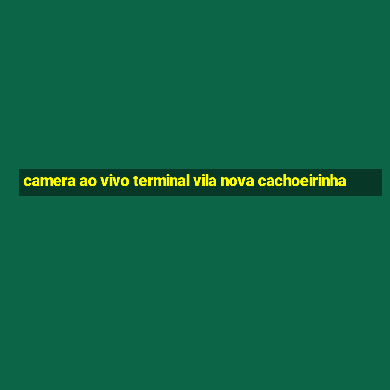 camera ao vivo terminal vila nova cachoeirinha