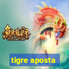 tigre aposta