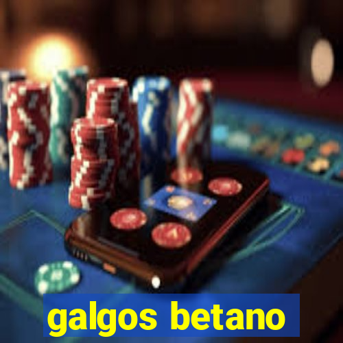 galgos betano