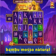 bambu mosso natural