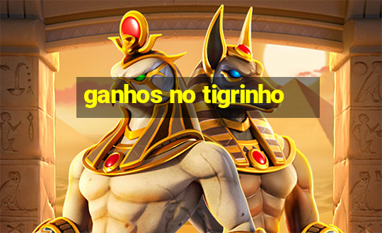 ganhos no tigrinho