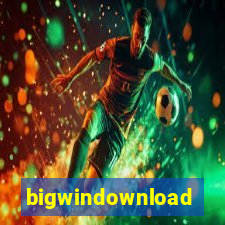 bigwindownload