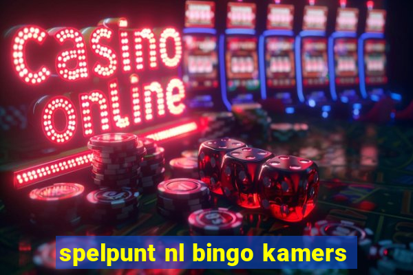 spelpunt nl bingo kamers