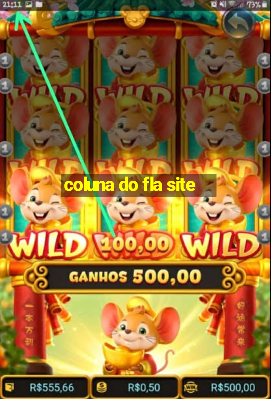 coluna do fla site