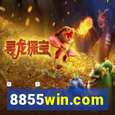 8855win.com